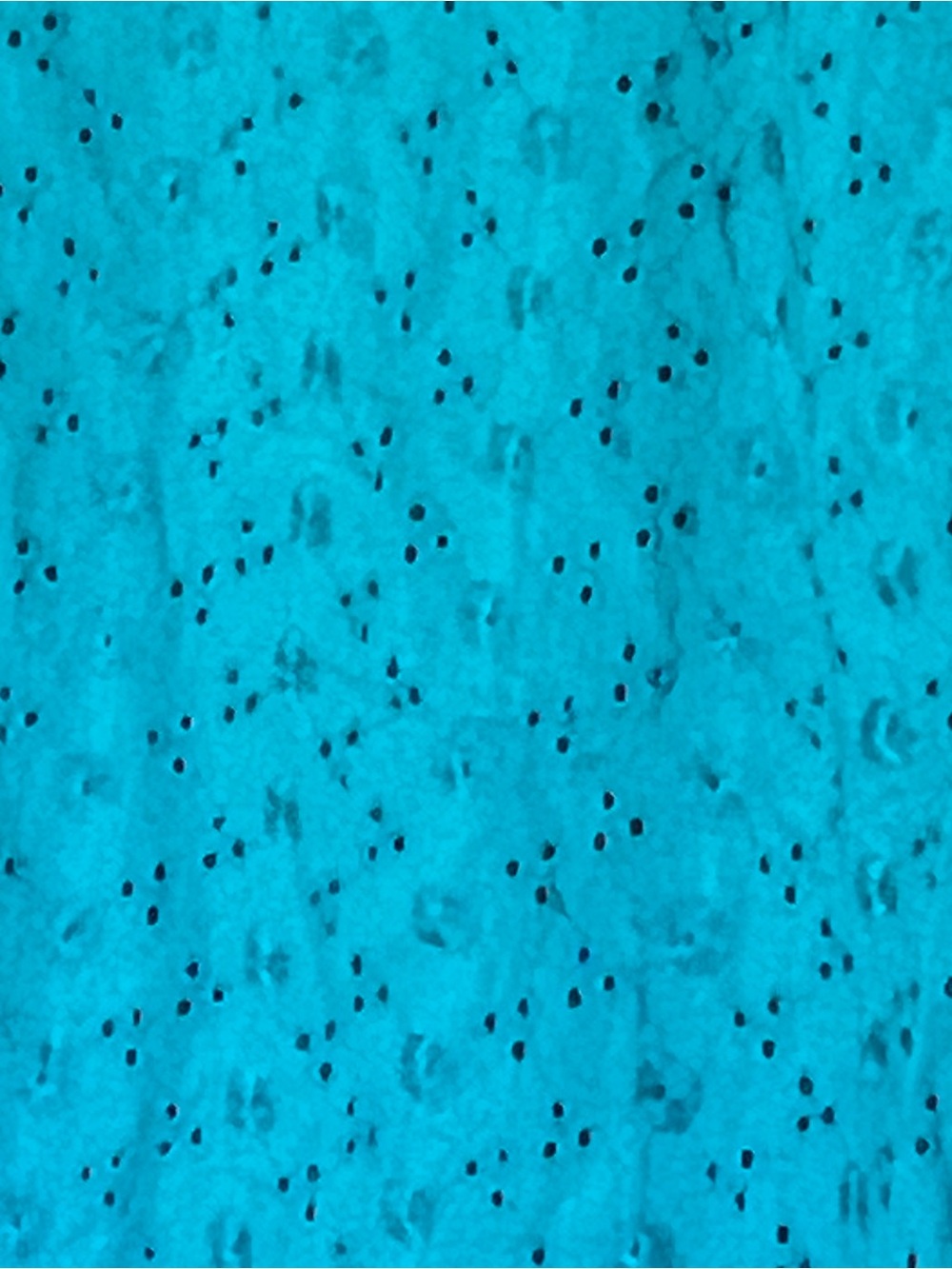 ULLA POPKEN Turquoise Cotton Eyelet A-Line Maxi Nightgown Plus Size 32/34 4X - Picture 8 of 12